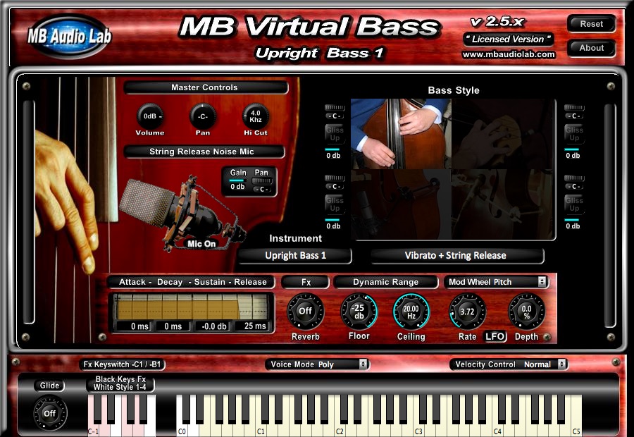 MB Virtual Bass - Acoustic Bass 
- Upright Bass 1