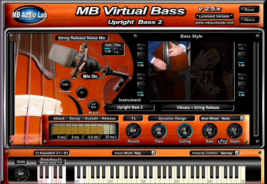MB Virtual Bass - Acoustic Bass 
- Upright Bass 2
