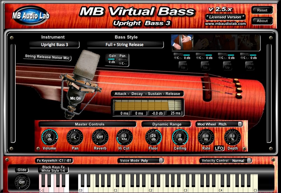MB Virtual Bass - Acoustic Bass 
- Upright Bass 3